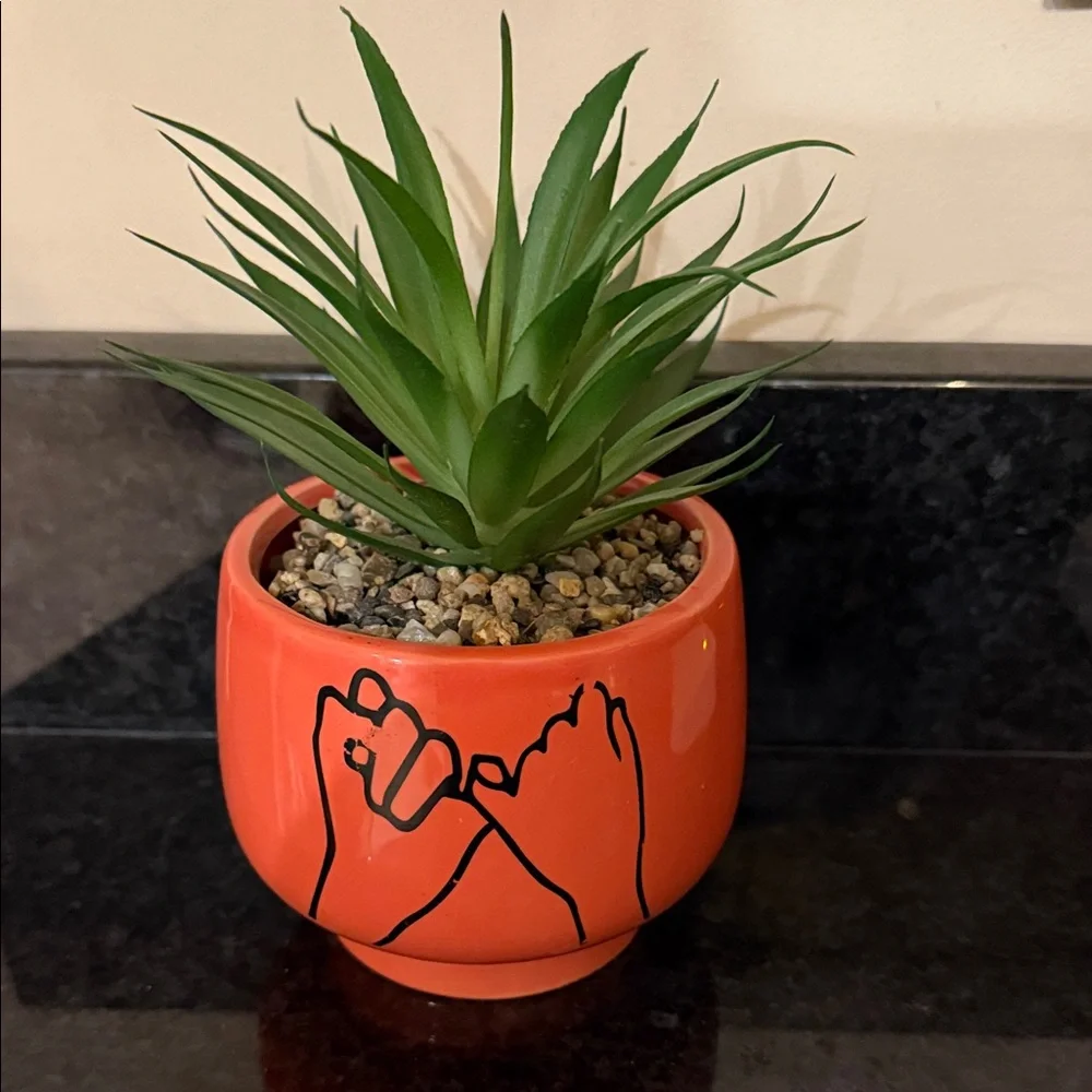 Two fake succulent plants in pots home or dorm decor